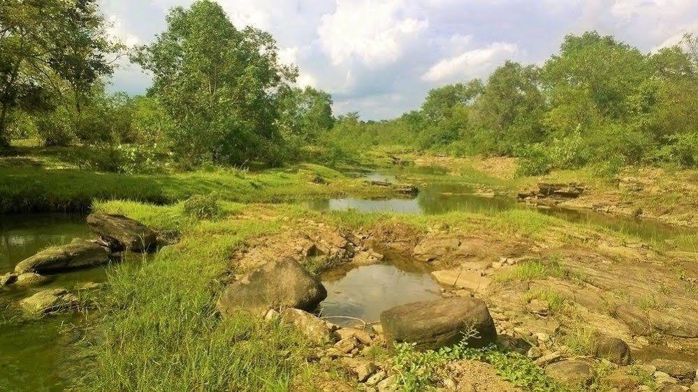 Kula Kula Luxury Camping Resort Udawalawe Luaran gambar
