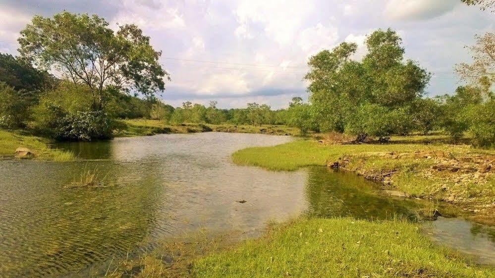Kula Kula Luxury Camping Resort Udawalawe Luaran gambar