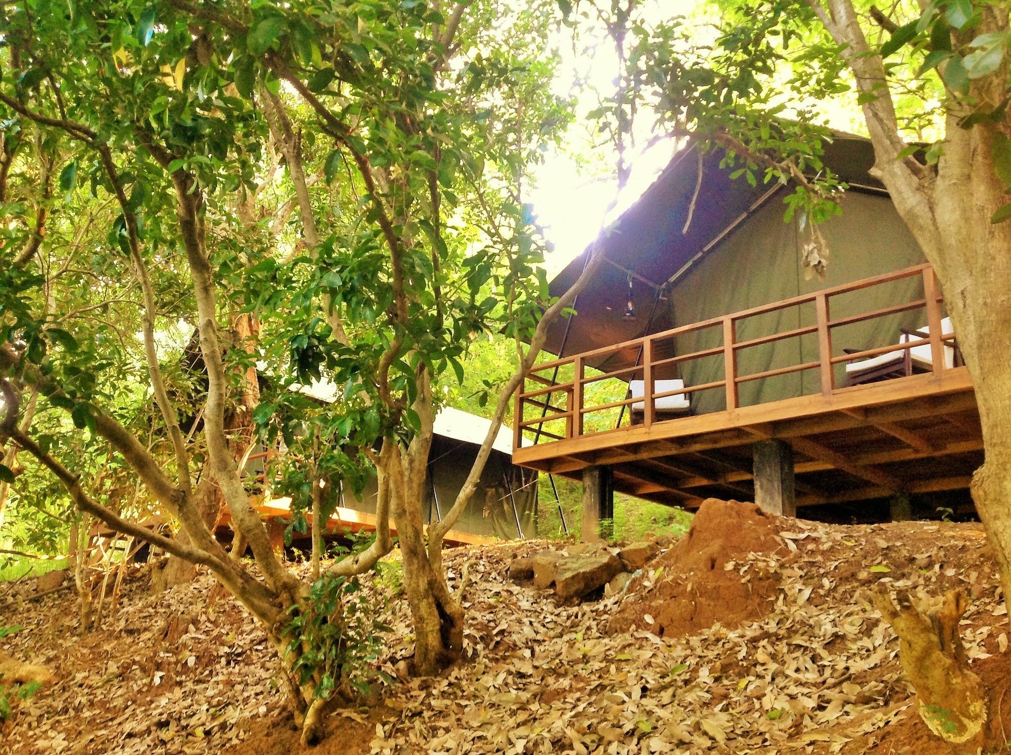 Kula Kula Luxury Camping Resort Udawalawe Luaran gambar
